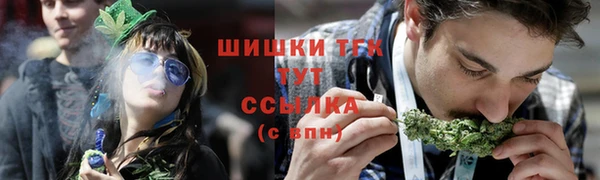 ПСИЛОЦИБИНОВЫЕ ГРИБЫ Алексеевка