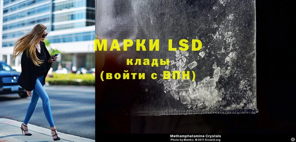 ПСИЛОЦИБИНОВЫЕ ГРИБЫ Алексеевка