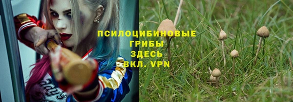 ПСИЛОЦИБИНОВЫЕ ГРИБЫ Алексеевка