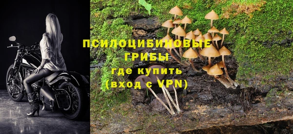 гашишное масло Нязепетровск